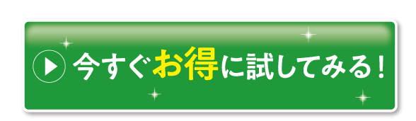 今すぐお得に試してみる！