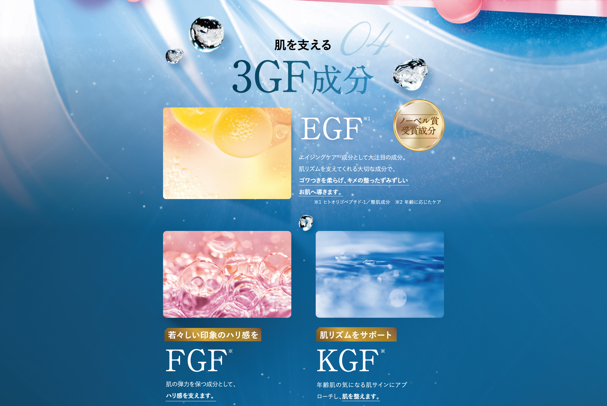 肌を支える3GF成分