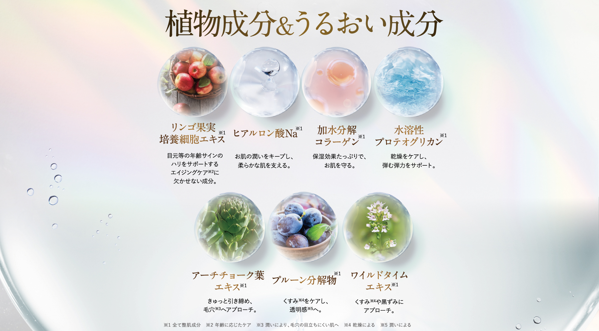 たっぷり!植物成分&うるおい成分