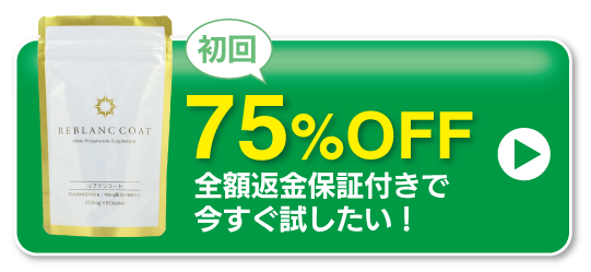 全額返金保証付きで試したい