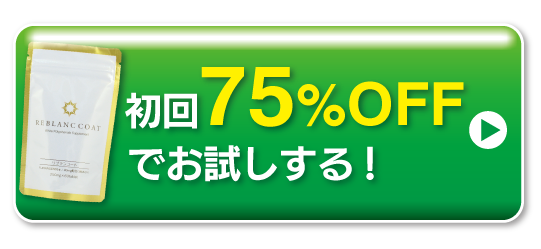 お試しする