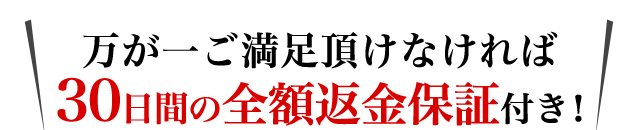 30日間の全額返金保証付き